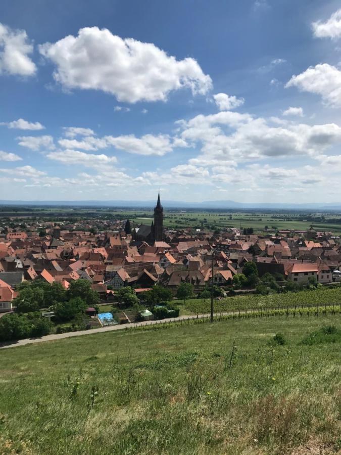 Gite Les Cles Des Vignes Dambach-la-Ville Luaran gambar