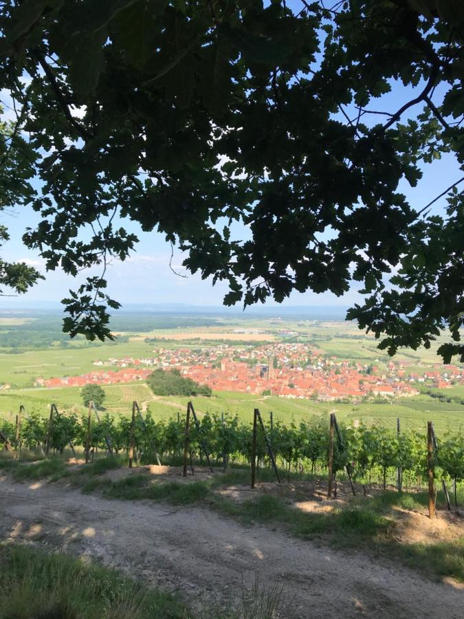 Gite Les Cles Des Vignes Dambach-la-Ville Luaran gambar